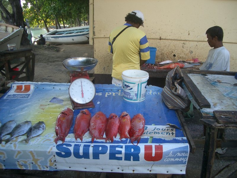 Mauritius 2006 (247).jpg